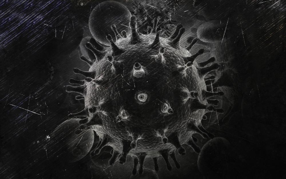 #11 - Schwarzkümmel hat antivirale Eigenschaften